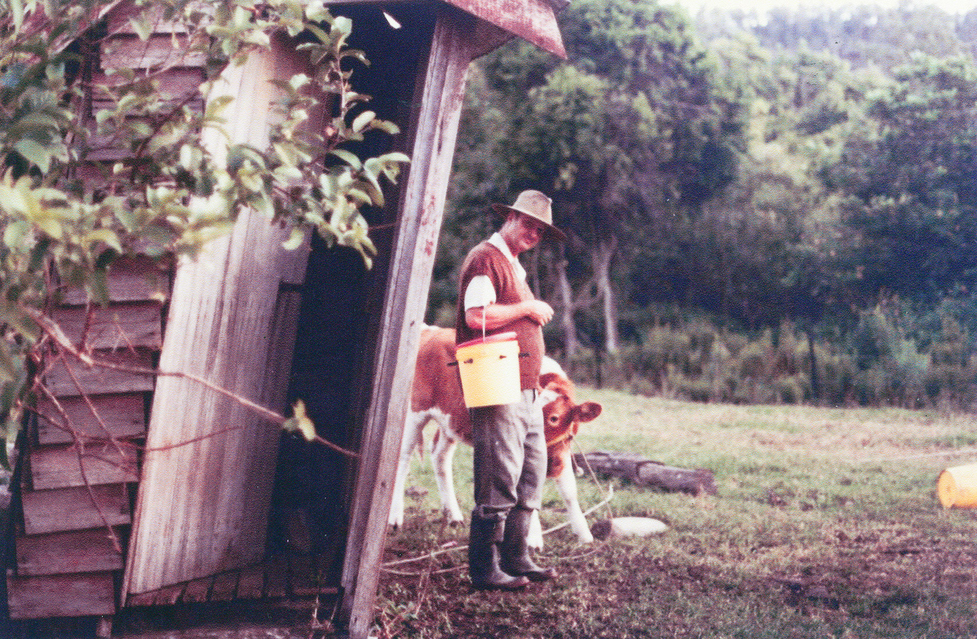 William Robinson at his Beechmont property