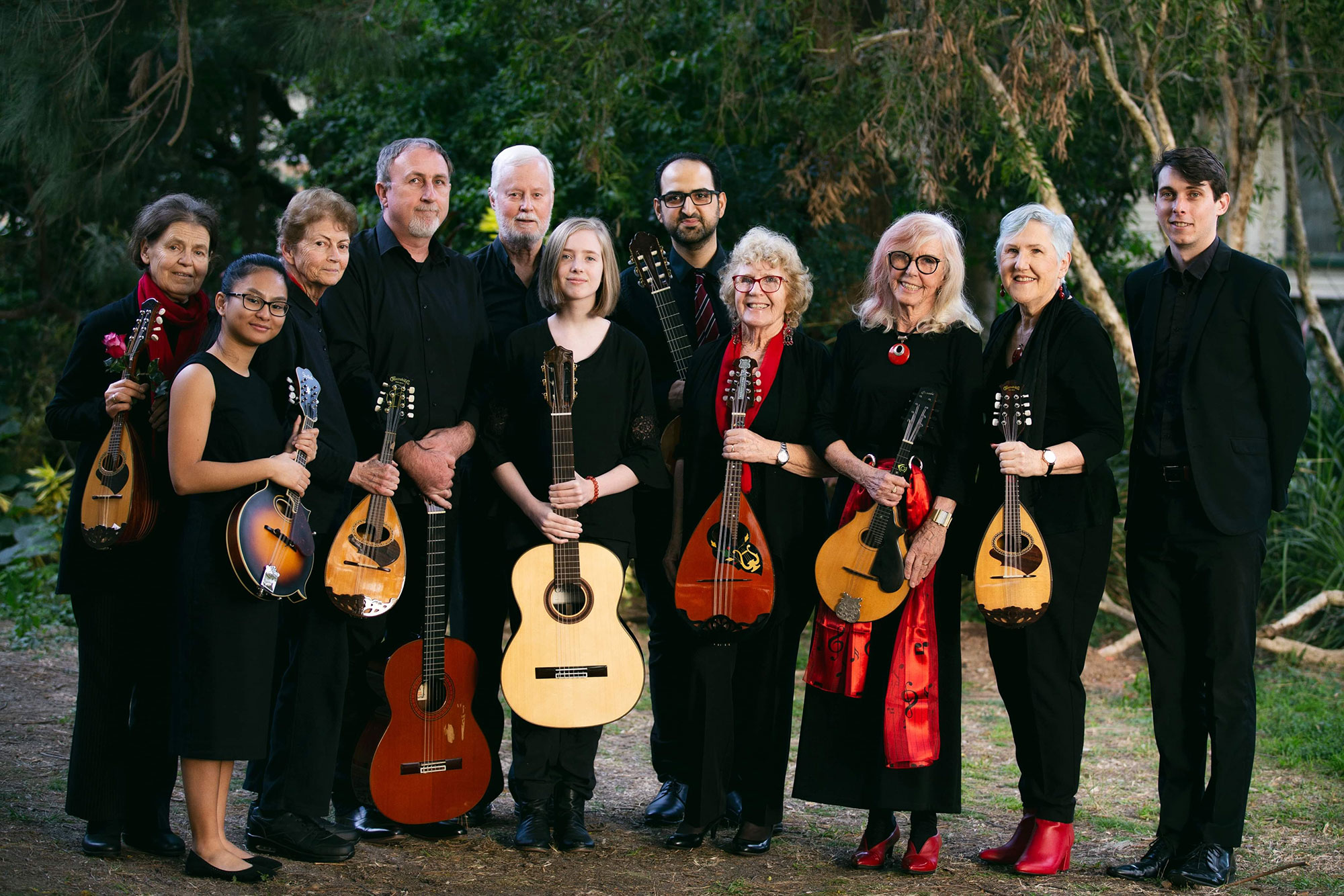 Mandolins in Brisbane